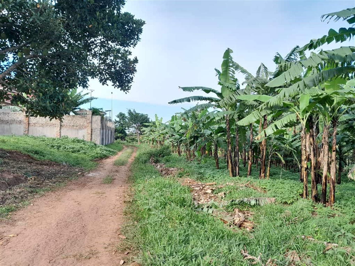 Residential land for sale in Namugongo Wakiso Uganda