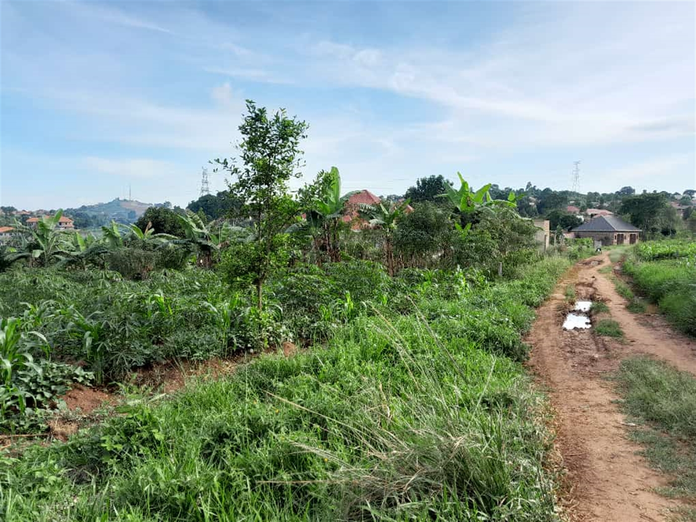 Residential land for sale in Namugongo Wakiso Uganda