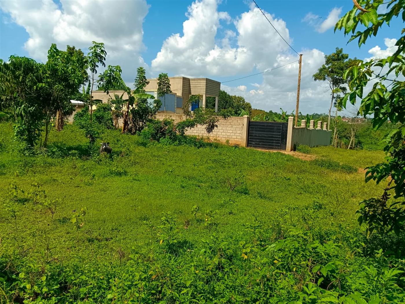 Residential land for sale in Namugongo Wakiso Uganda