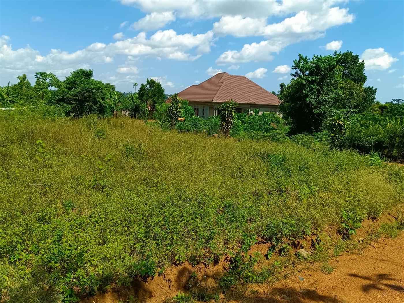 Residential land for sale in Namugongo Wakiso Uganda