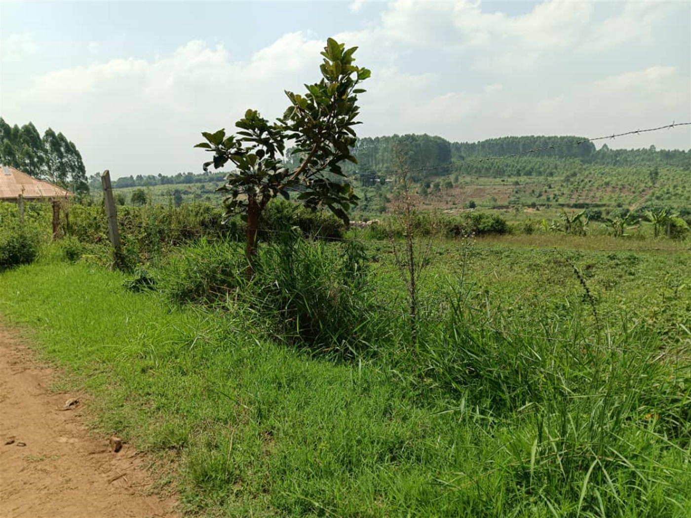 Residential land for sale in Namugongo Wakiso Uganda