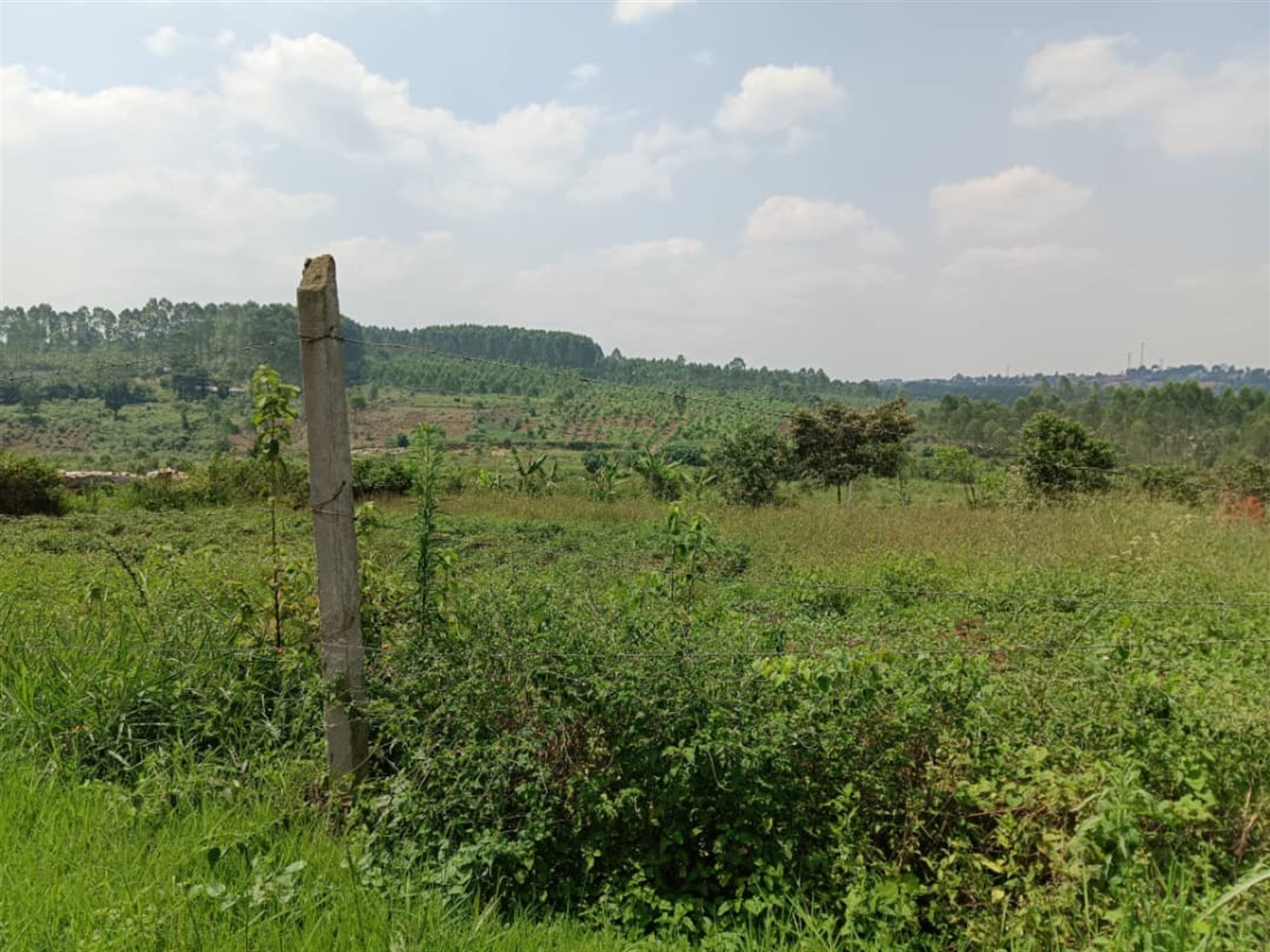 Residential land for sale in Namugongo Wakiso Uganda