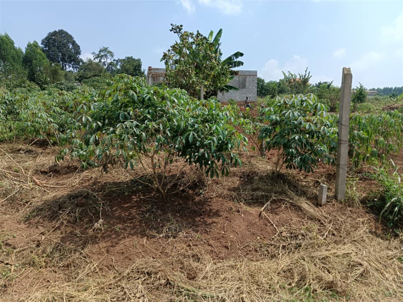 Residential land for sale in Namugongo Wakiso Uganda