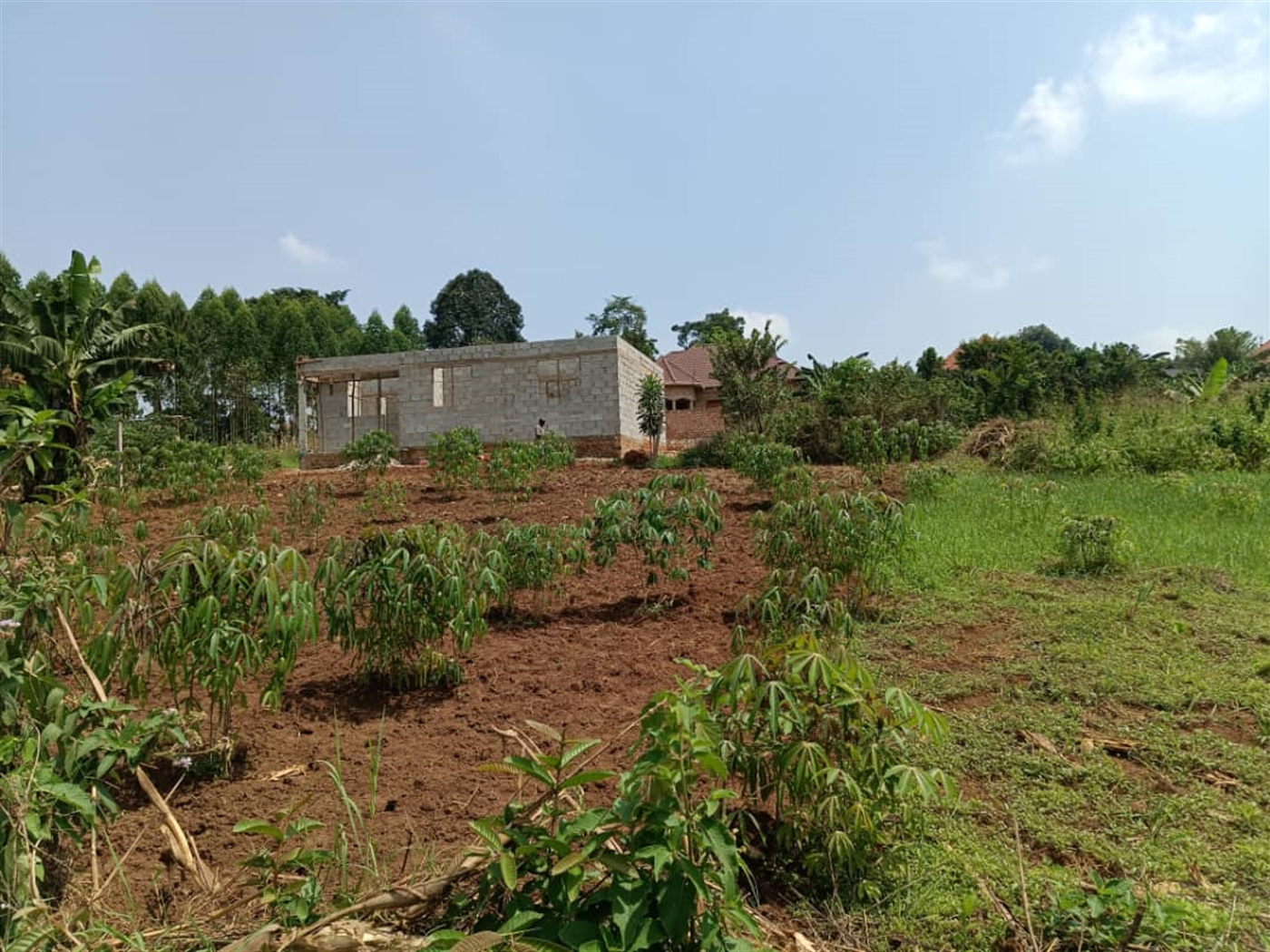 Residential land for sale in Namugongo Wakiso Uganda
