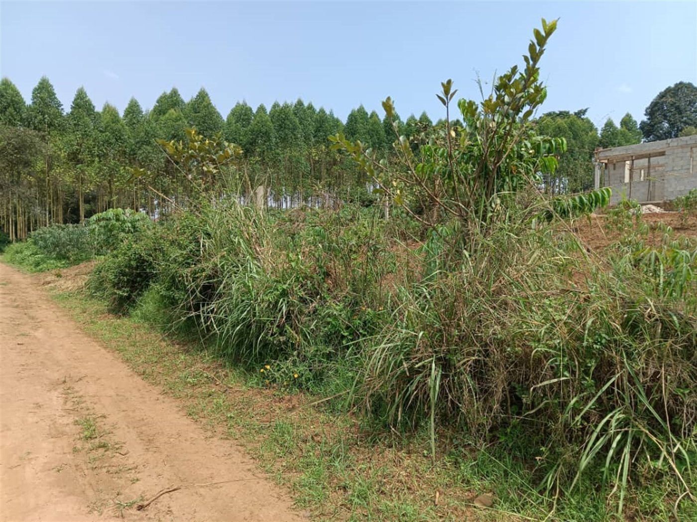 Residential land for sale in Namugongo Wakiso Uganda