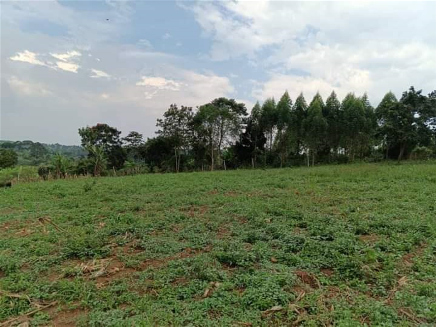 Residential land for sale in Namugongo Wakiso Ugan...