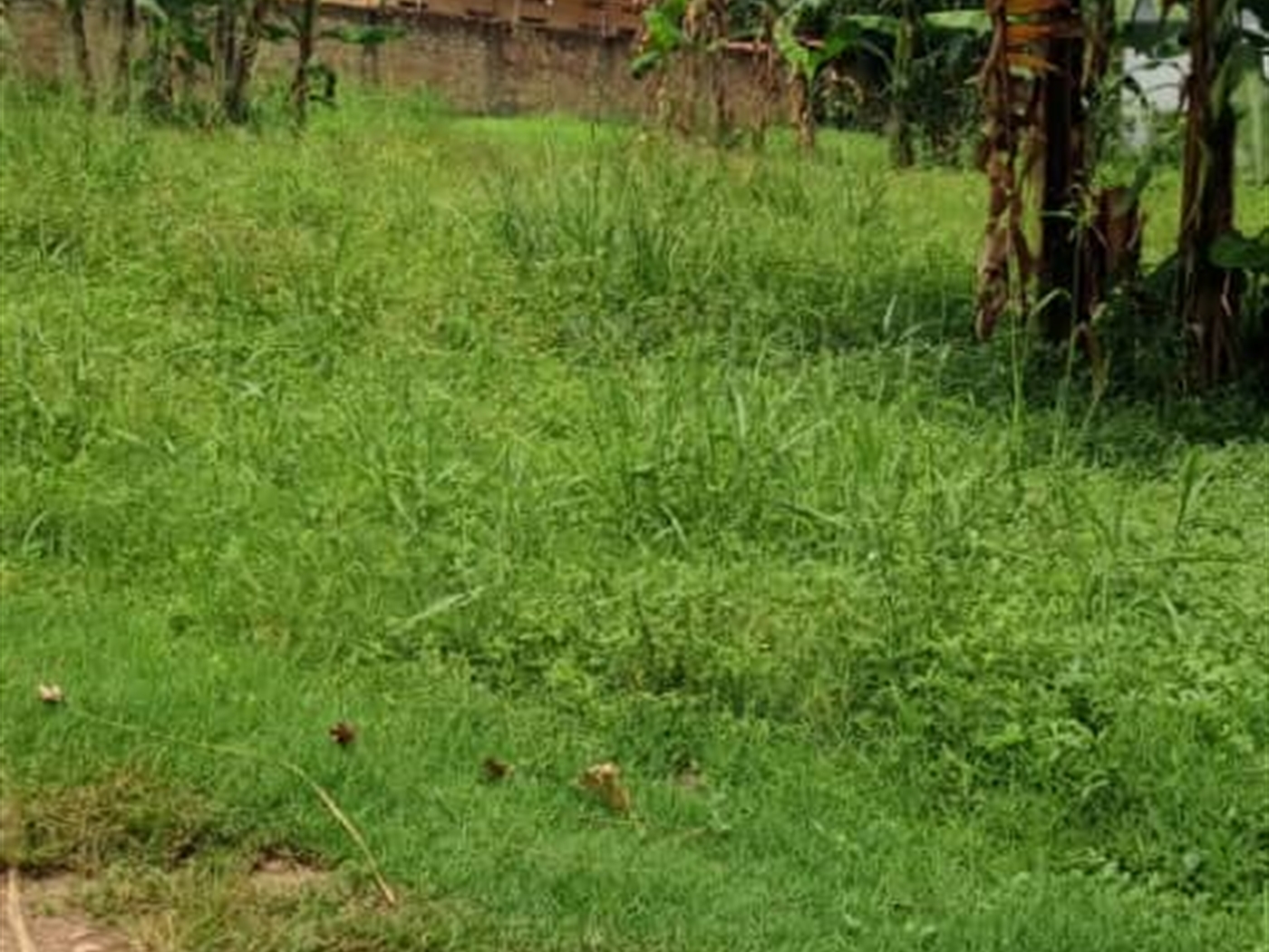 Residential land for sale in Kisaasi Wakiso Uganda