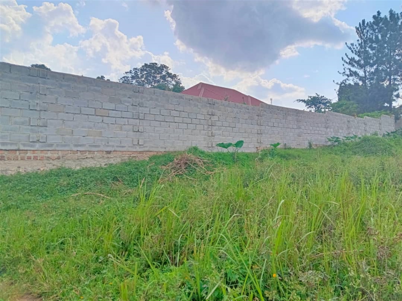 Residential land for sale in Namugongo Wakiso Uganda