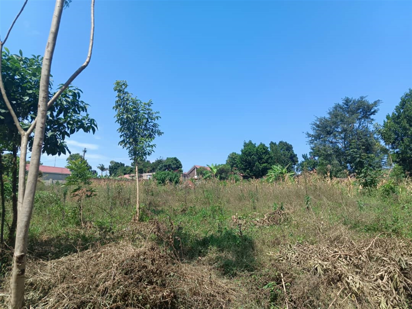 Residential land for sale in Kisaasi Kampala Uganda