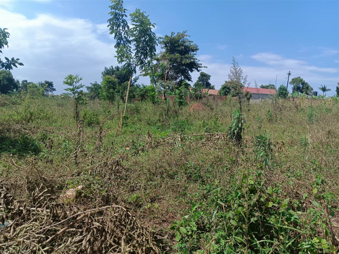 Residential land for sale in Kisaasi Kampala Uganda