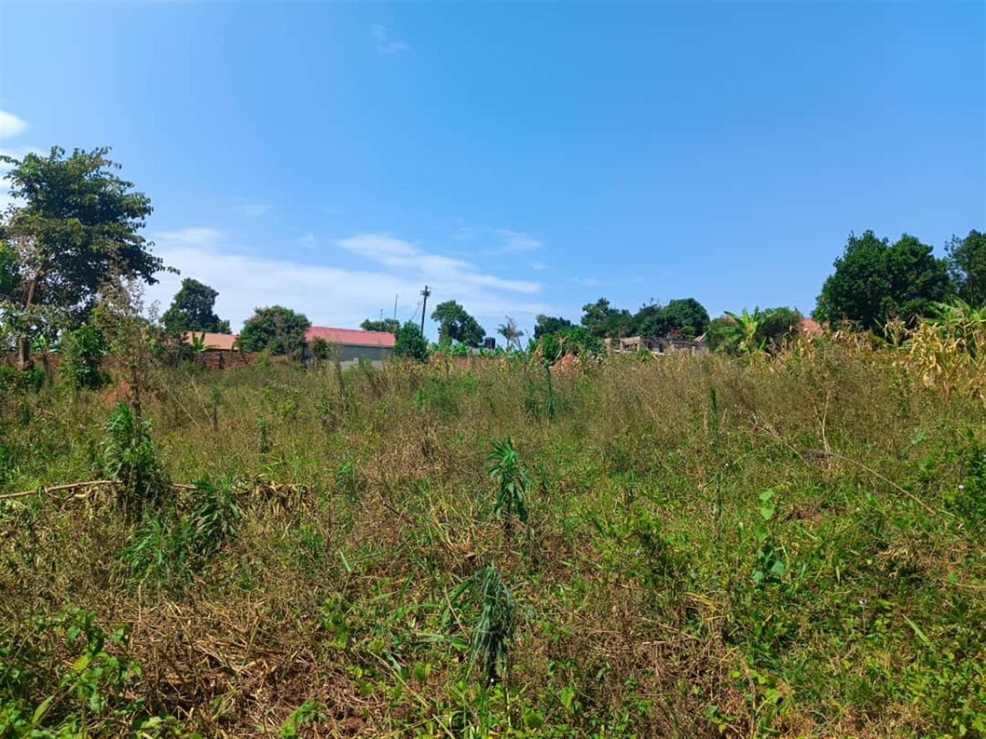 Residential land for sale in Kisaasi Kampala Uganda