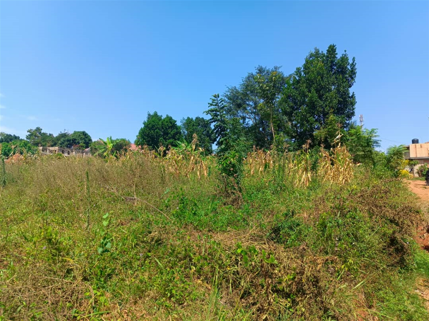 Residential land for sale in Kisaasi Kampala Uganda