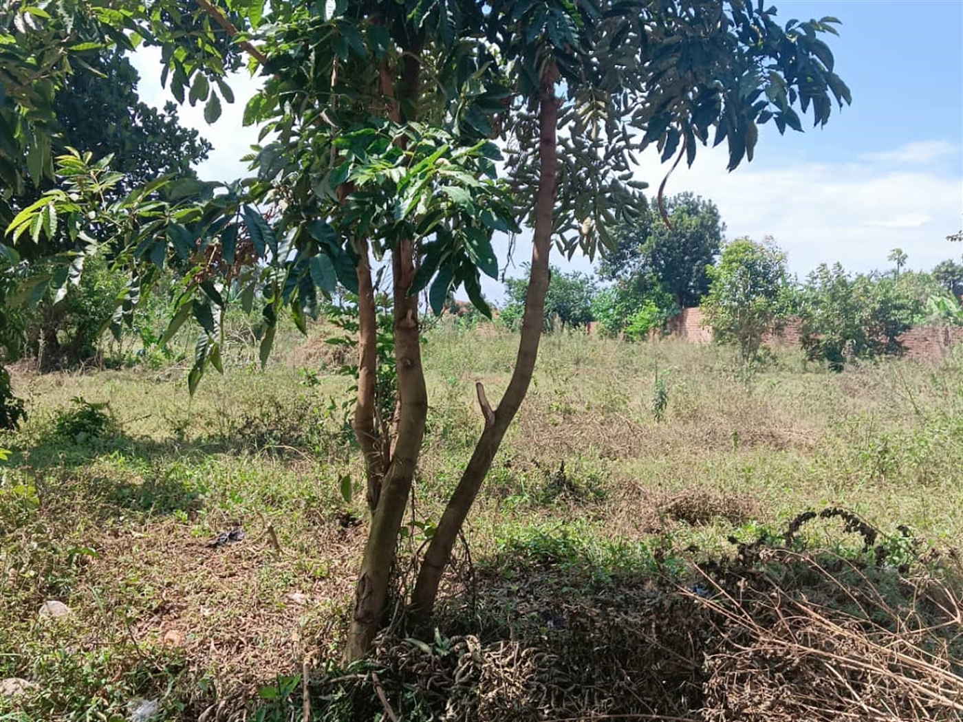Residential land for sale in Kisaasi Kampala Uganda