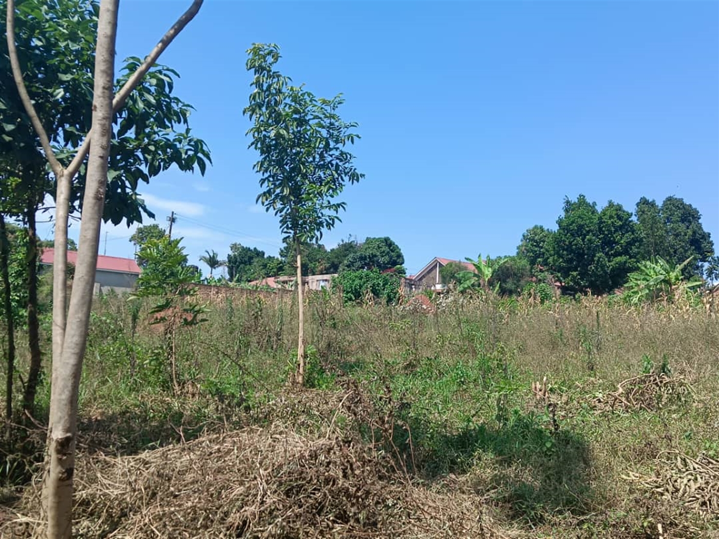 Residential land for sale in Kisaasi Kampala Uganda