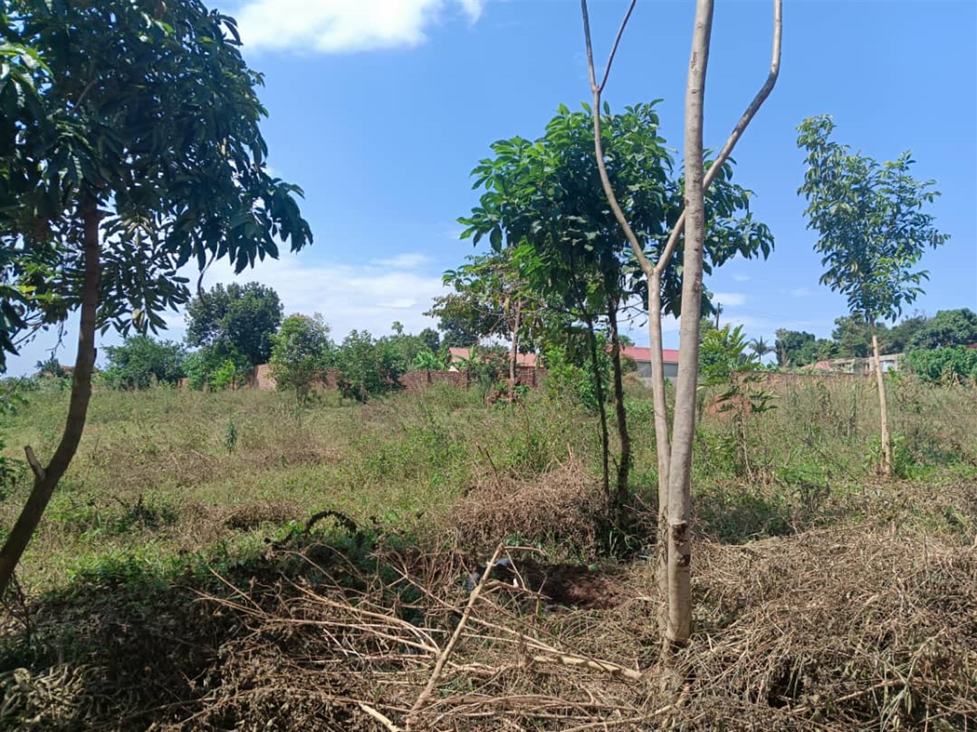 Residential land for sale in Kisaasi Kampala Uganda