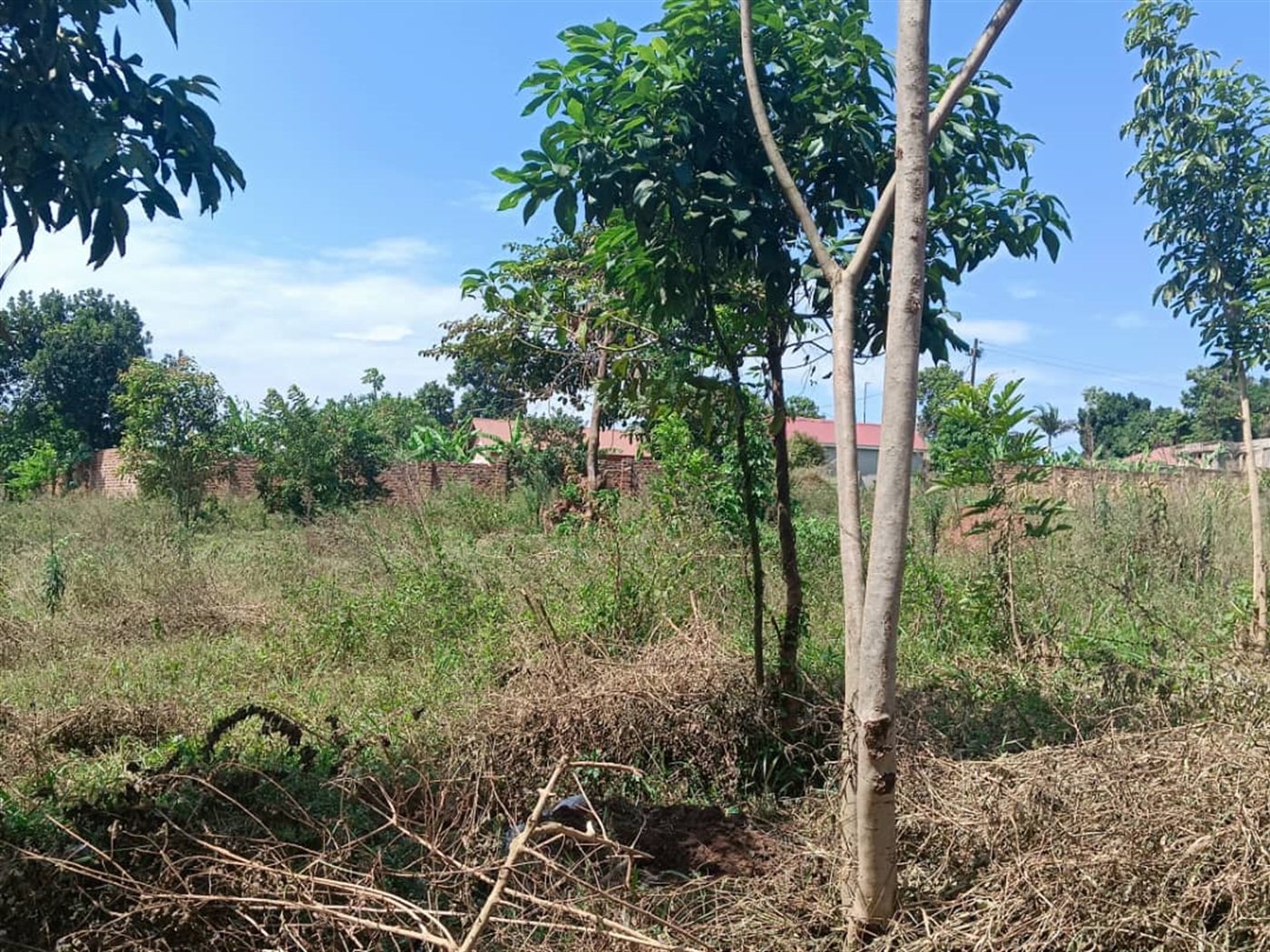 Residential land for sale in Kisaasi Kampala Uganda
