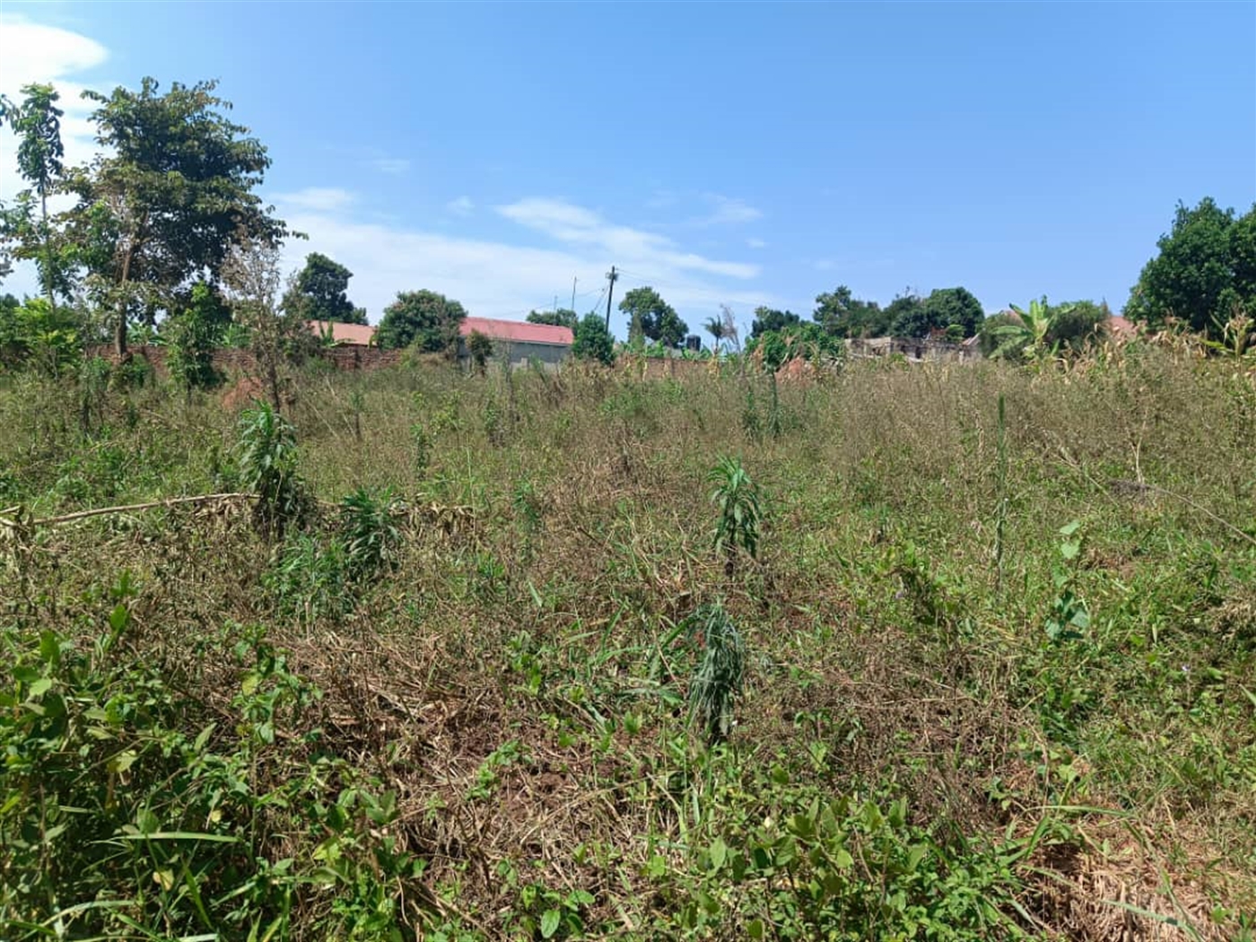 Residential land for sale in Kisaasi Kampala Ugand...