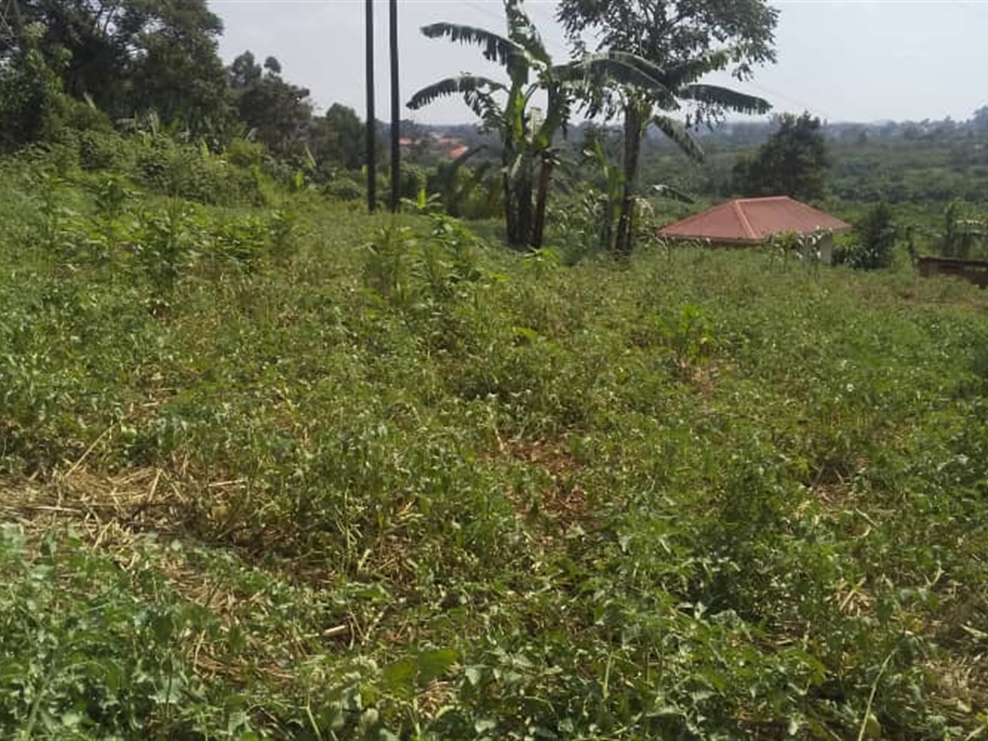 Residential land for sale in Namugongo Wakiso Uganda