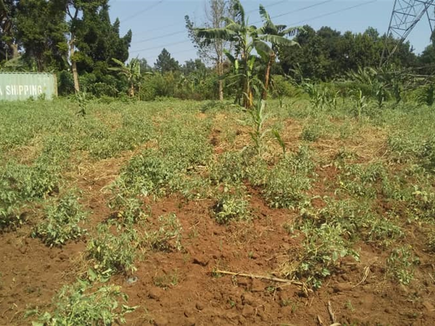 Residential land for sale in Namugongo Wakiso Uganda