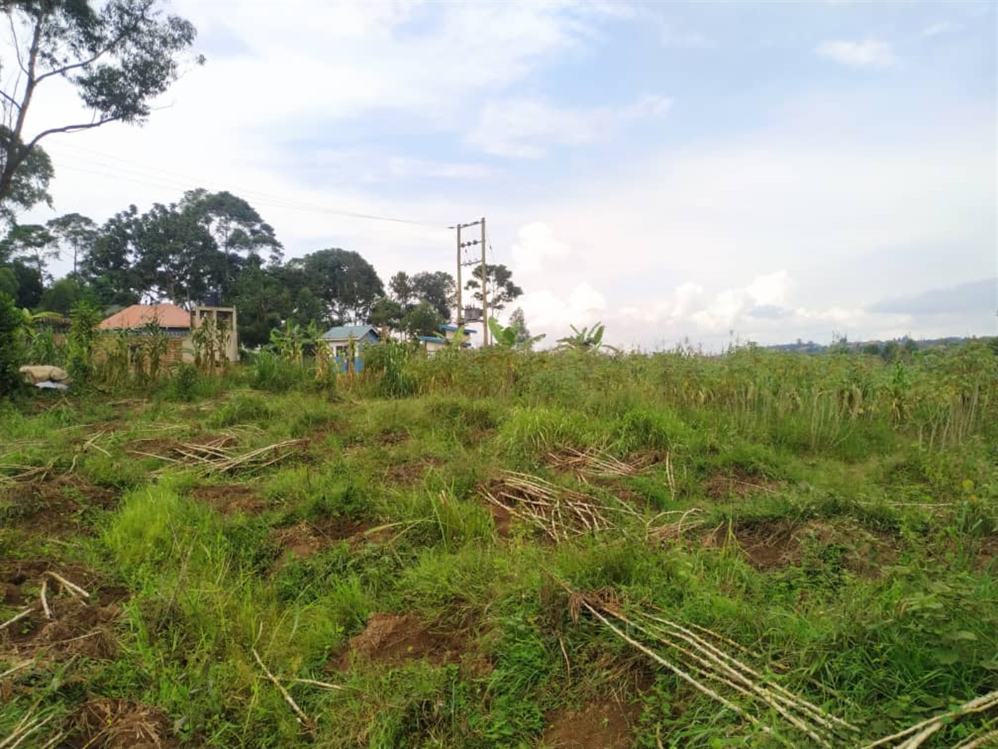 Residential land for sale in Namugongo Wakiso Uganda