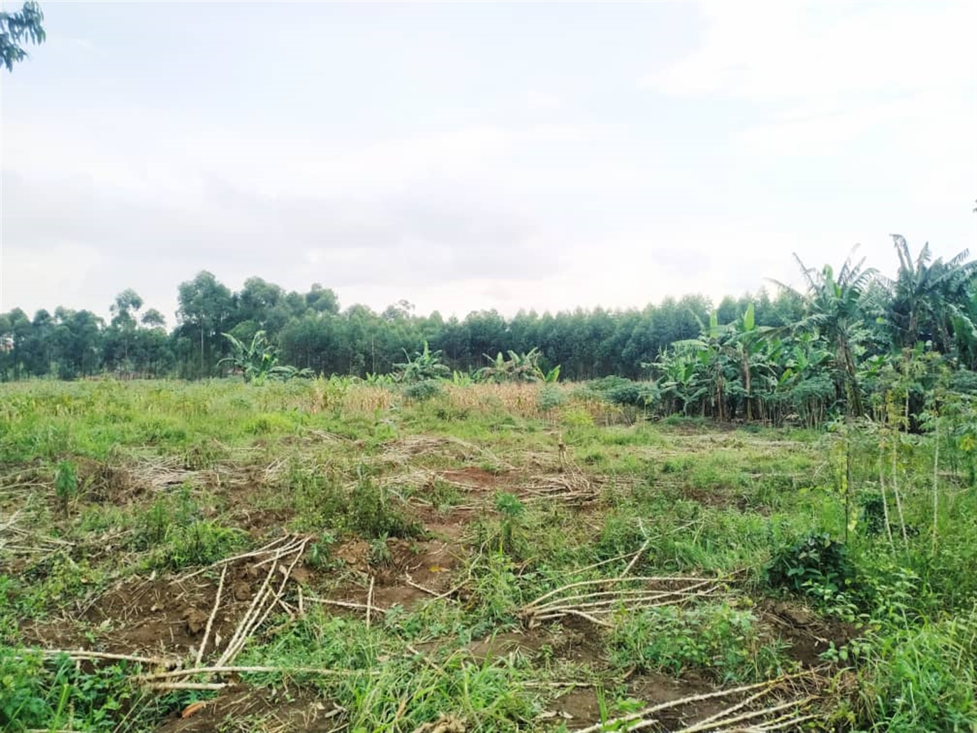 Residential land for sale in Namugongo Wakiso Uganda