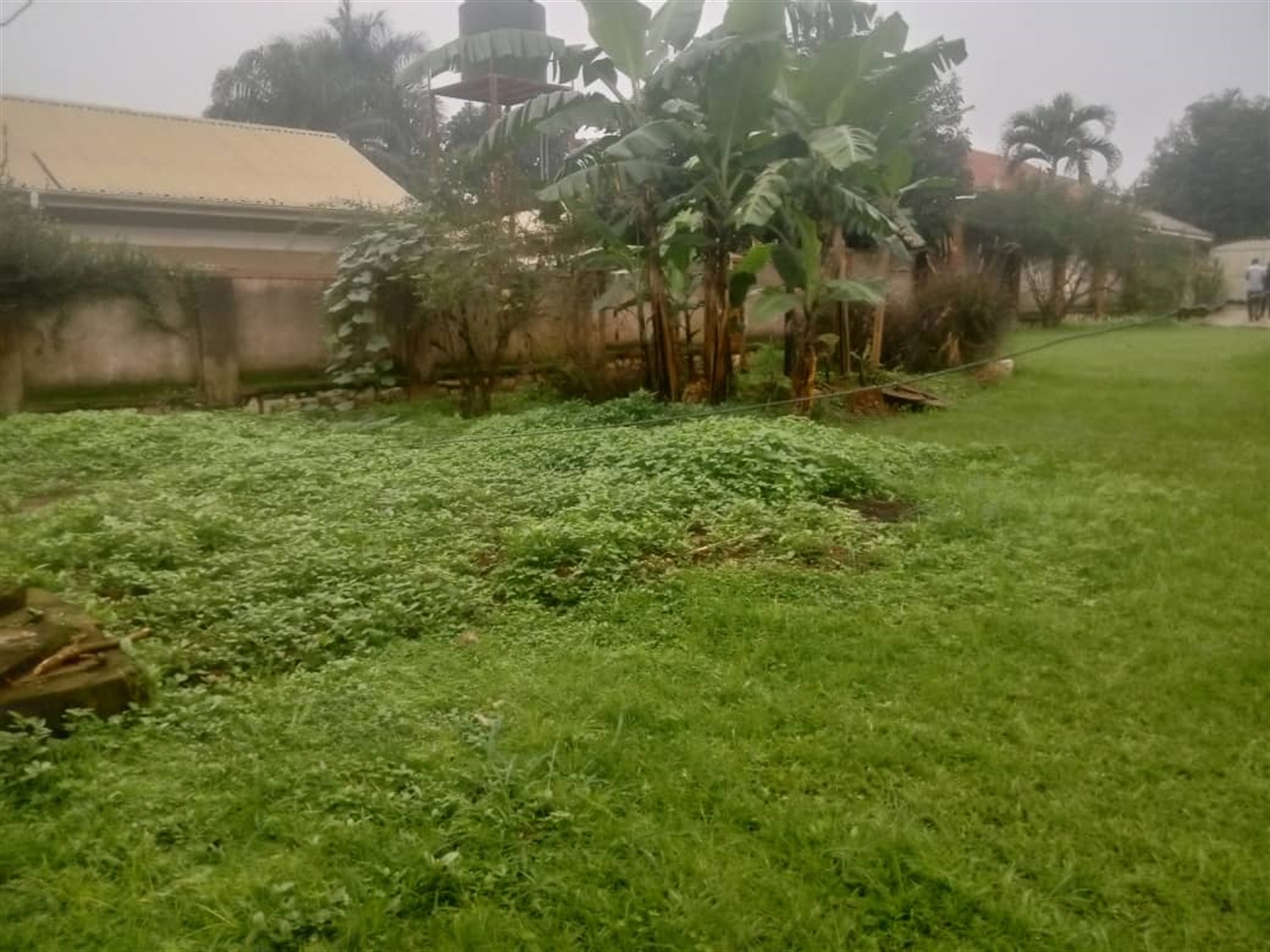 Residential land for sale in Kisaasi Wakiso Uganda