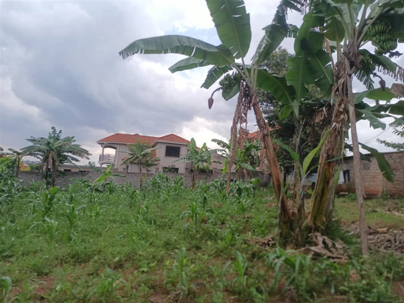 Residential land for sale in Namugongo Wakiso Uganda