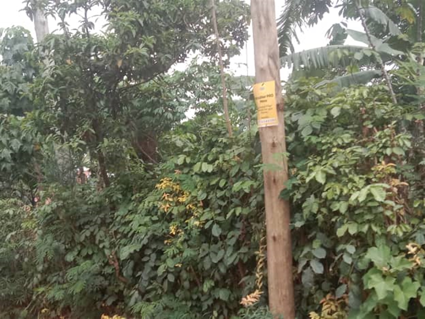 Residential land for sale in Kisaasi Kampala Uganda