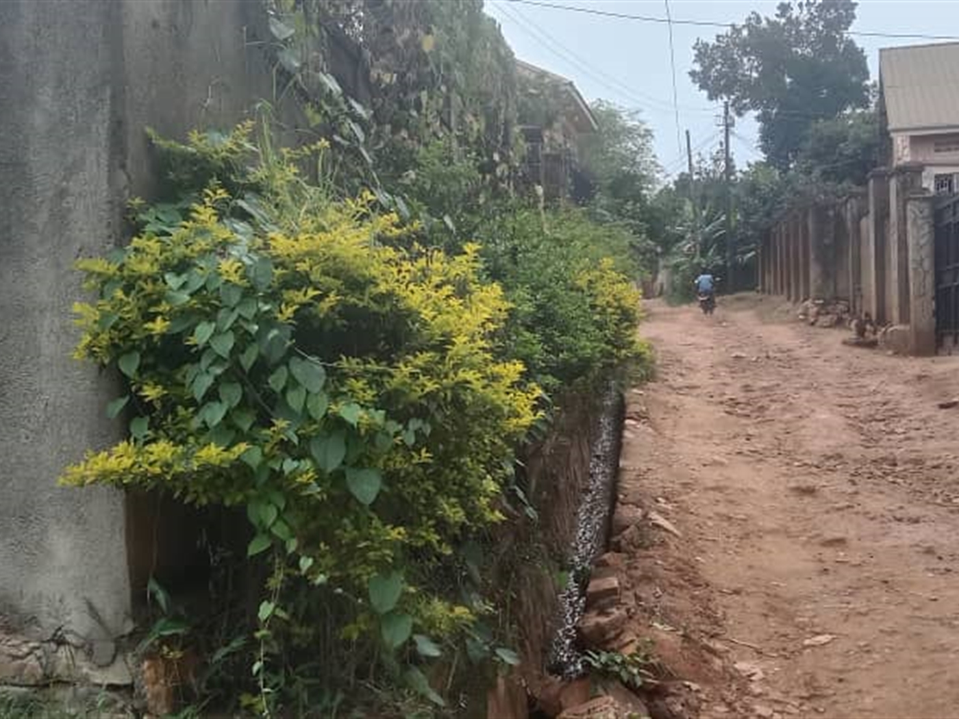 Residential land for sale in Kisaasi Kampala Uganda