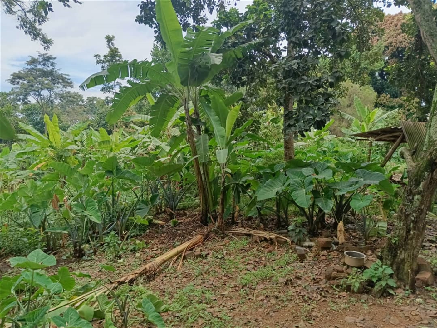 Residential land for sale in Namugongo Wakiso Uganda