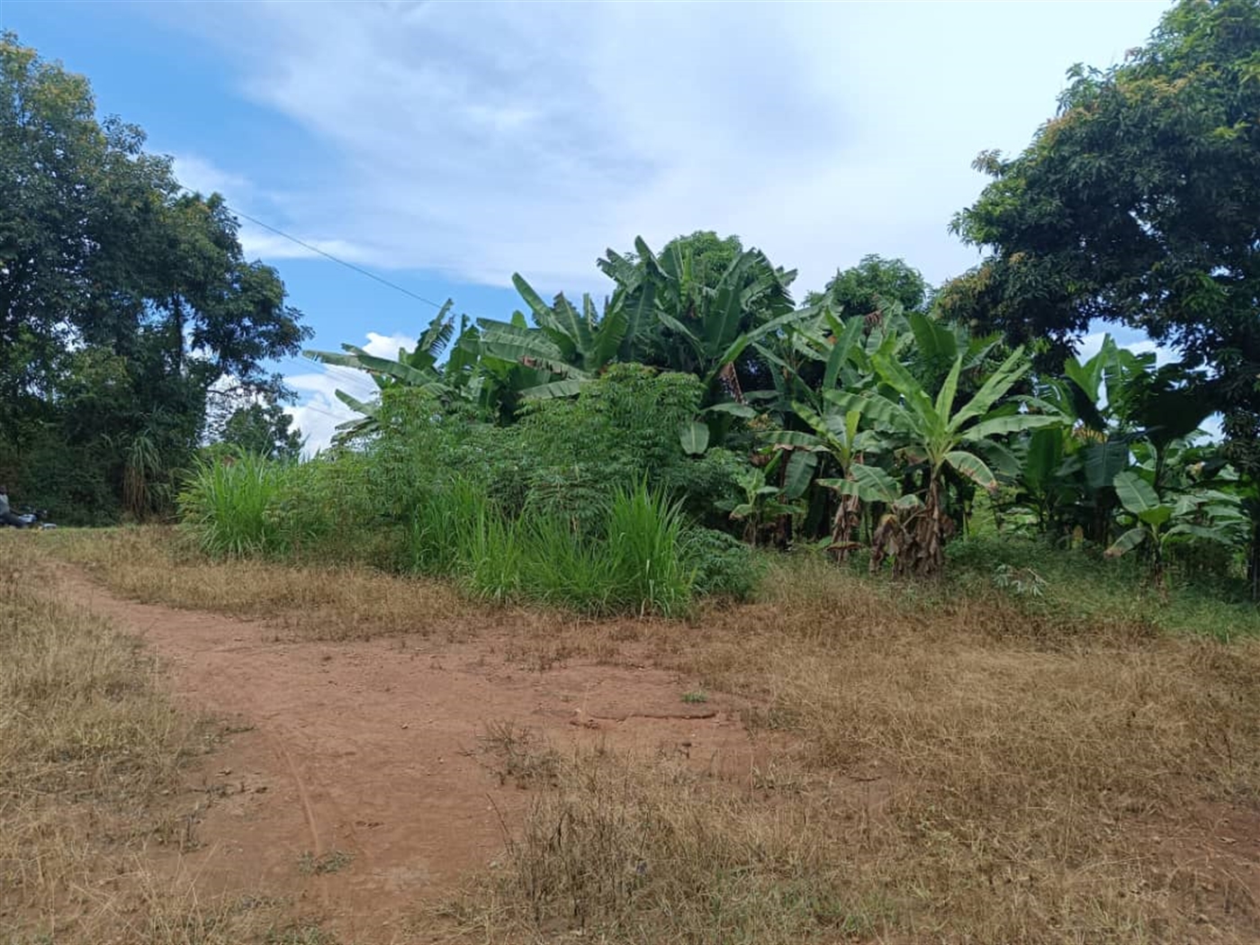 Residential land for sale in Namugongo Wakiso Uganda