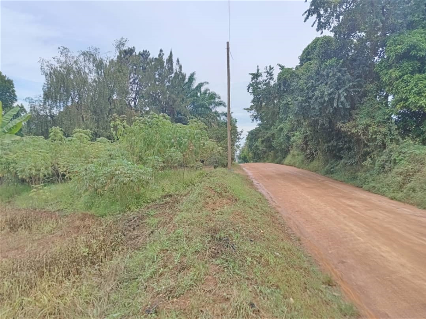 Residential land for sale in Namugongo Wakiso Uganda