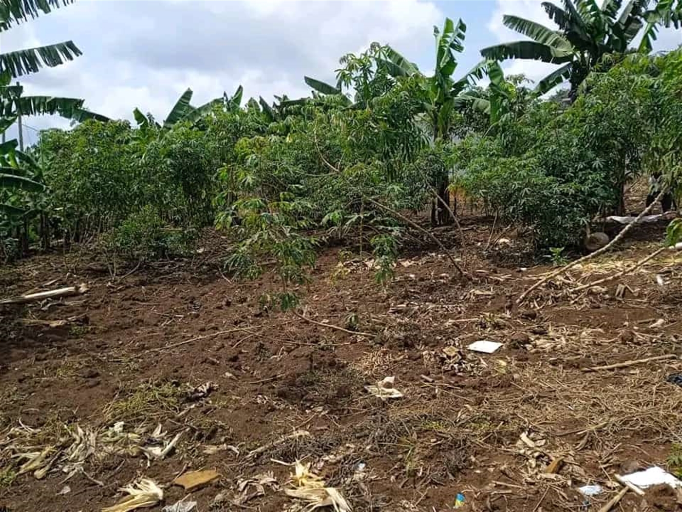 Residential land for sale in Namugongo Wakiso Ugan...