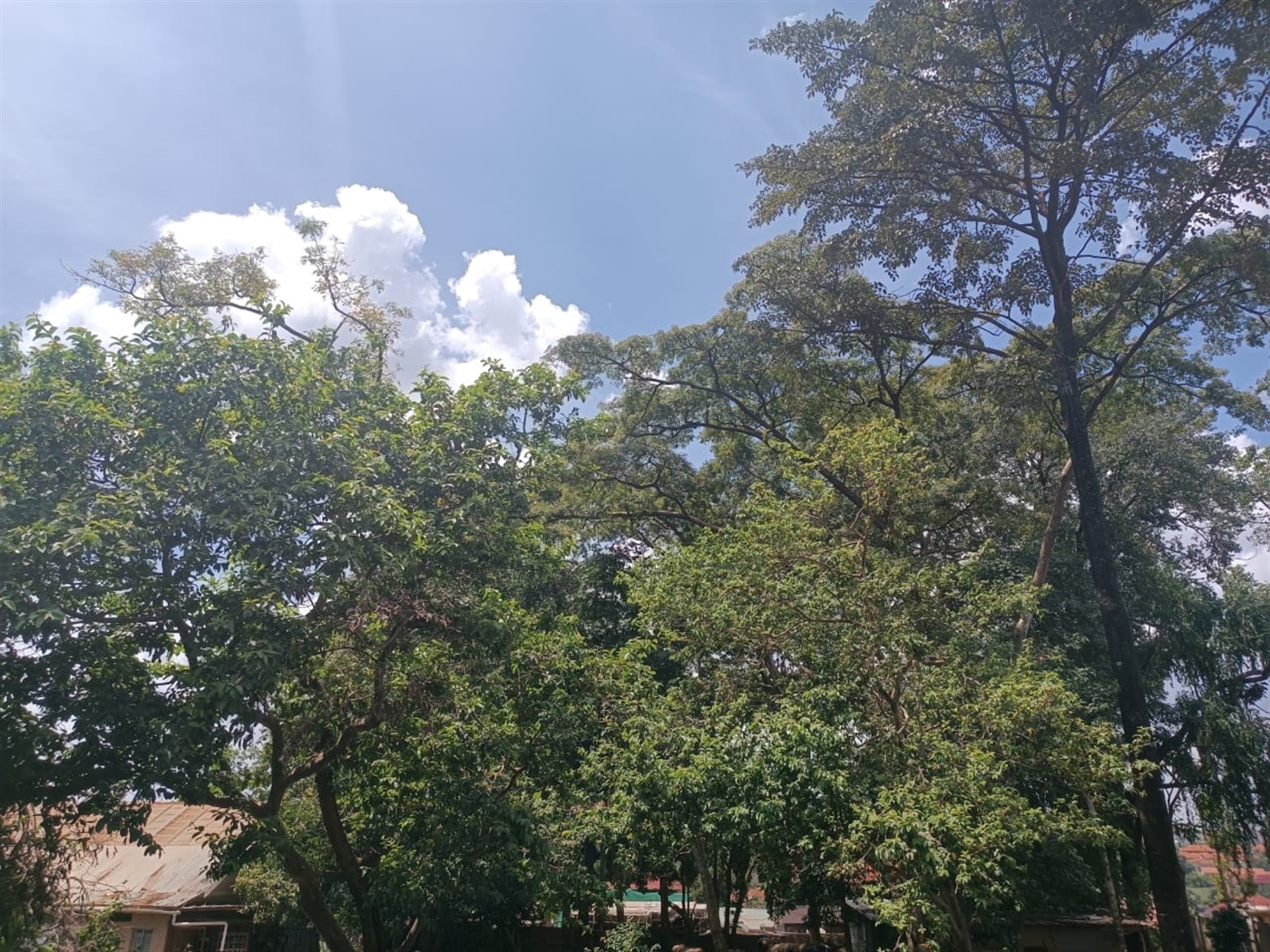 Residential land for sale in Namugongo Wakiso Uganda,