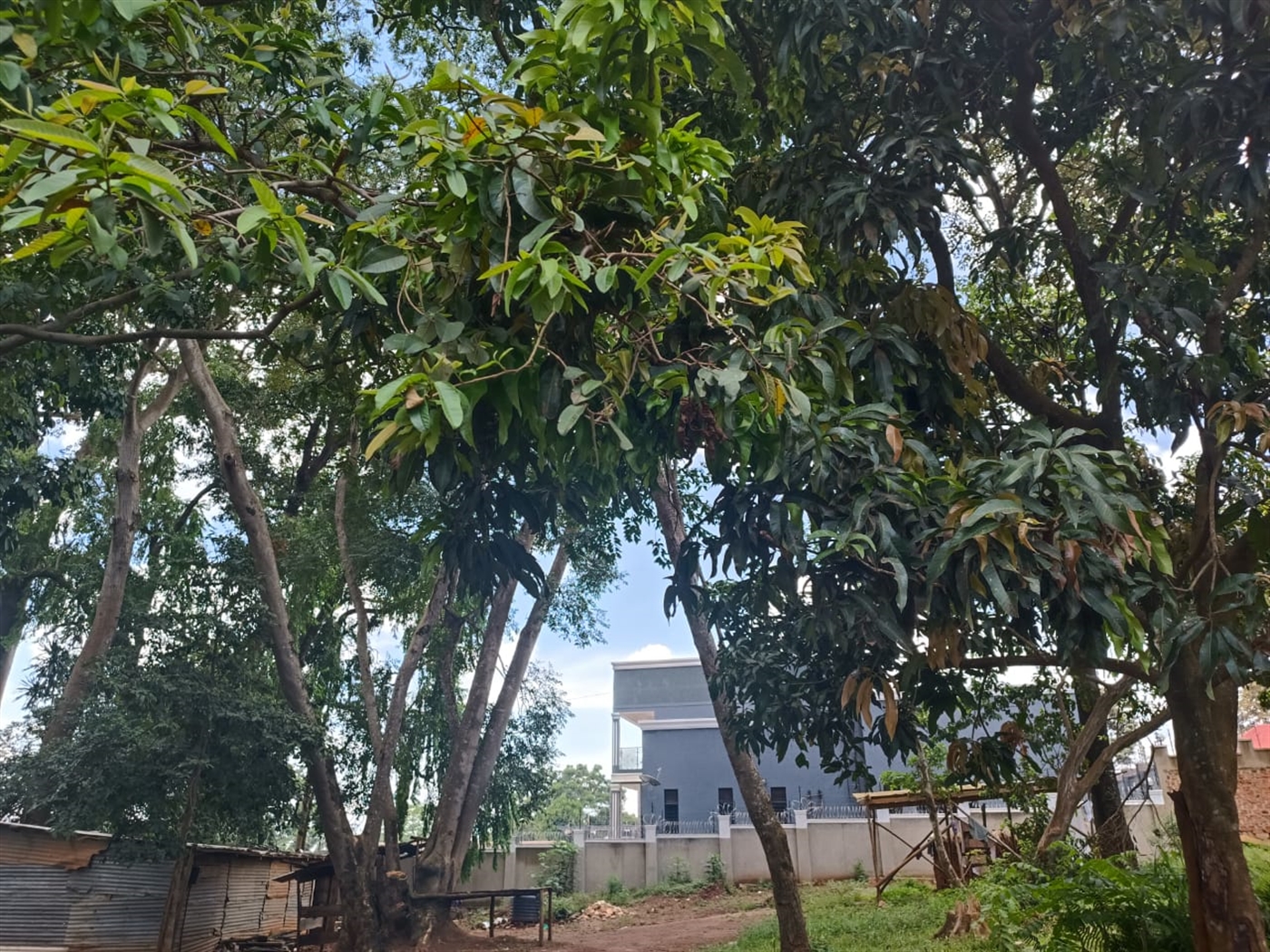 Residential land for sale in Namugongo Wakiso Uganda,