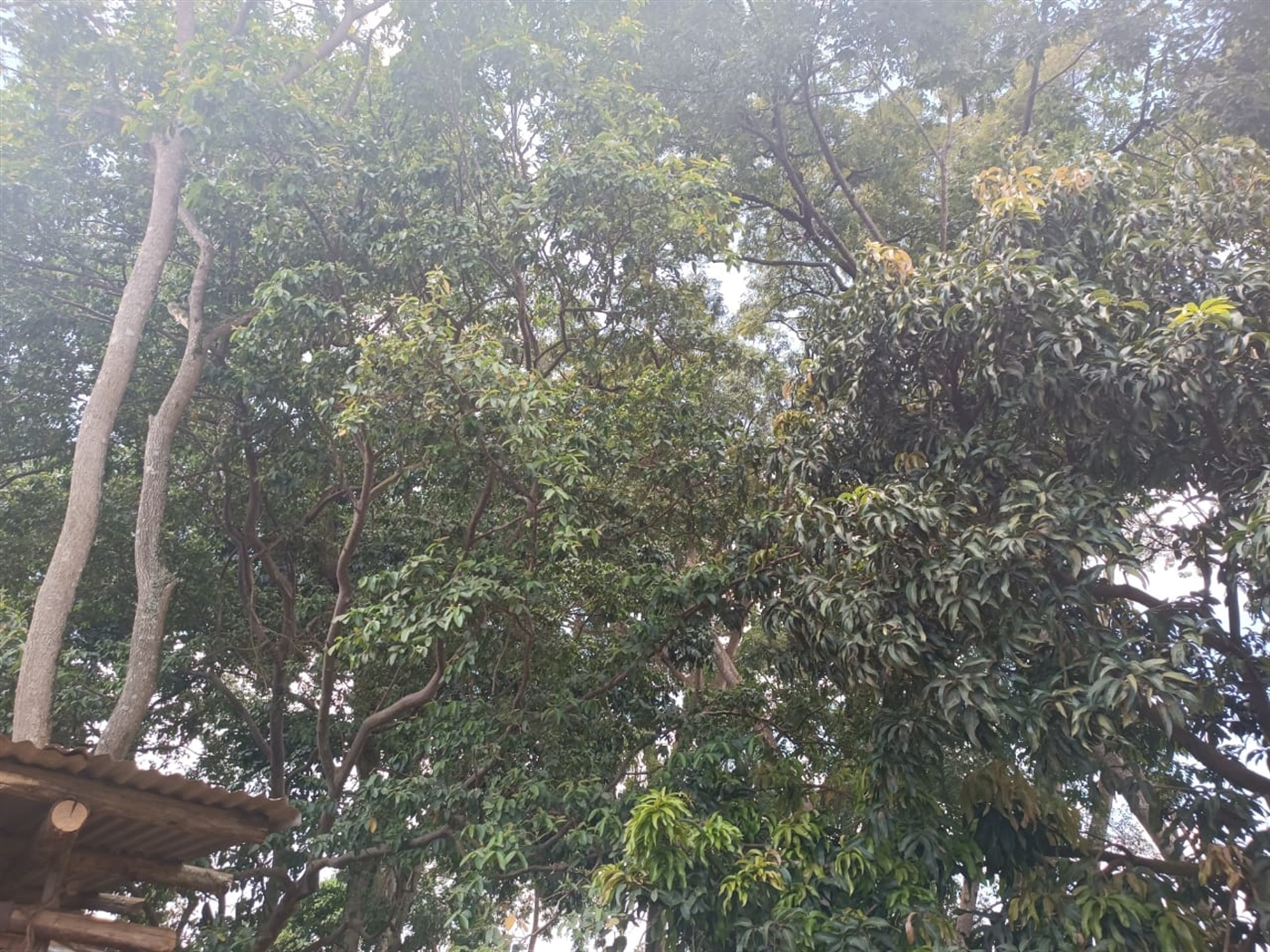 Residential land for sale in Namugongo Wakiso Uganda,