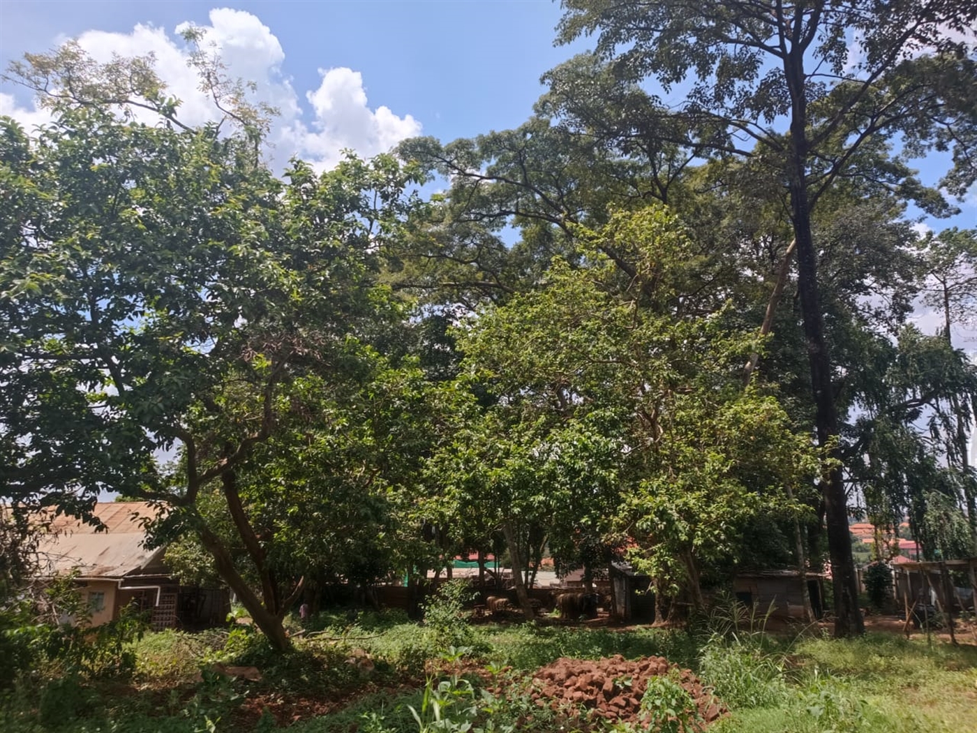 Residential land for sale in Namugongo Wakiso Uganda,