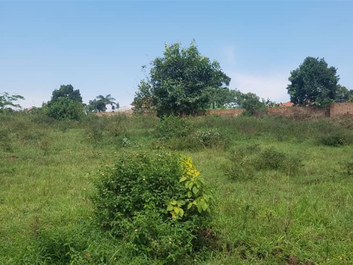 Residential land for sale in Namugongo Wakiso Uganda