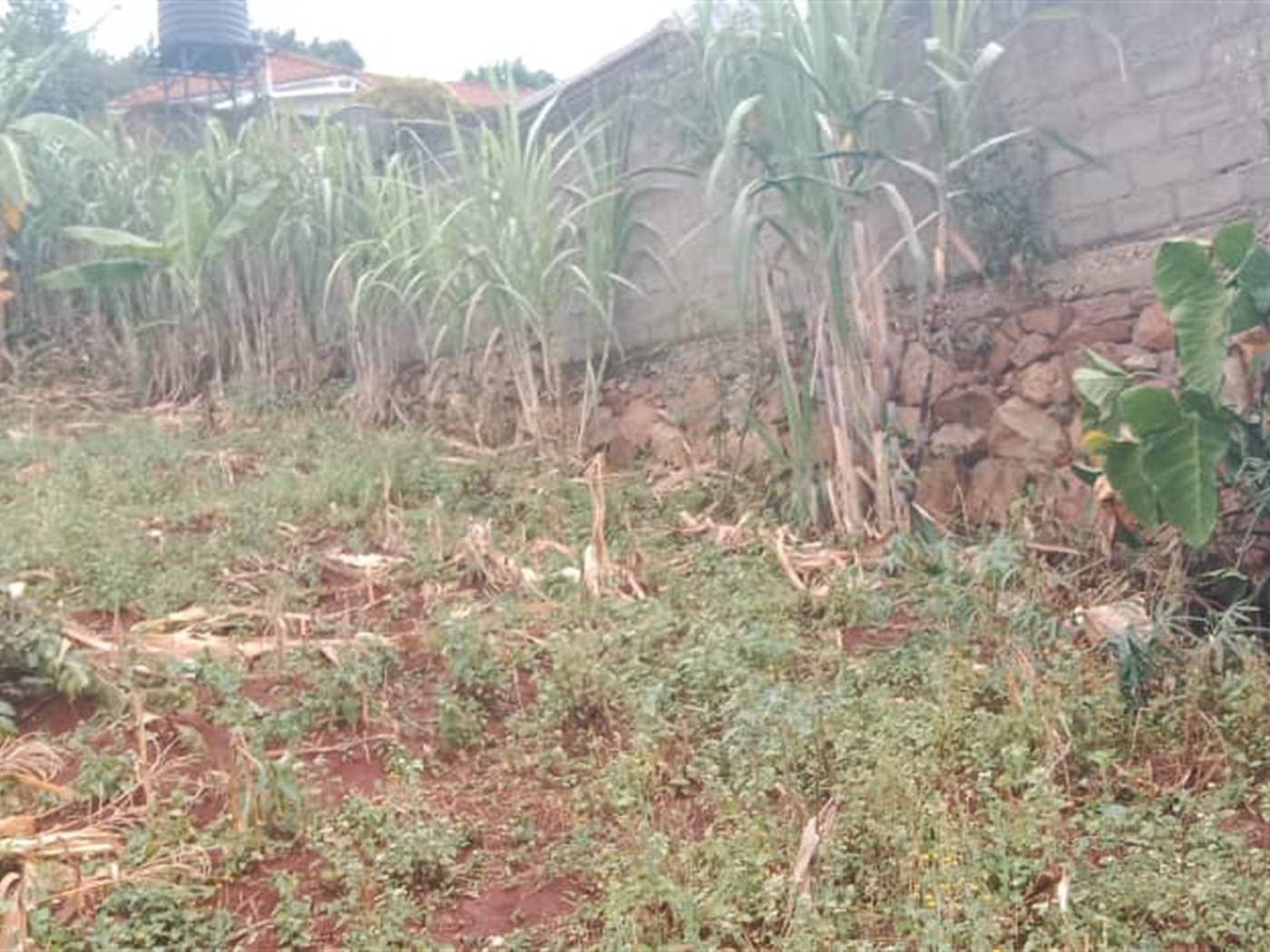 Residential land for sale in Seguku Wakiso Uganda