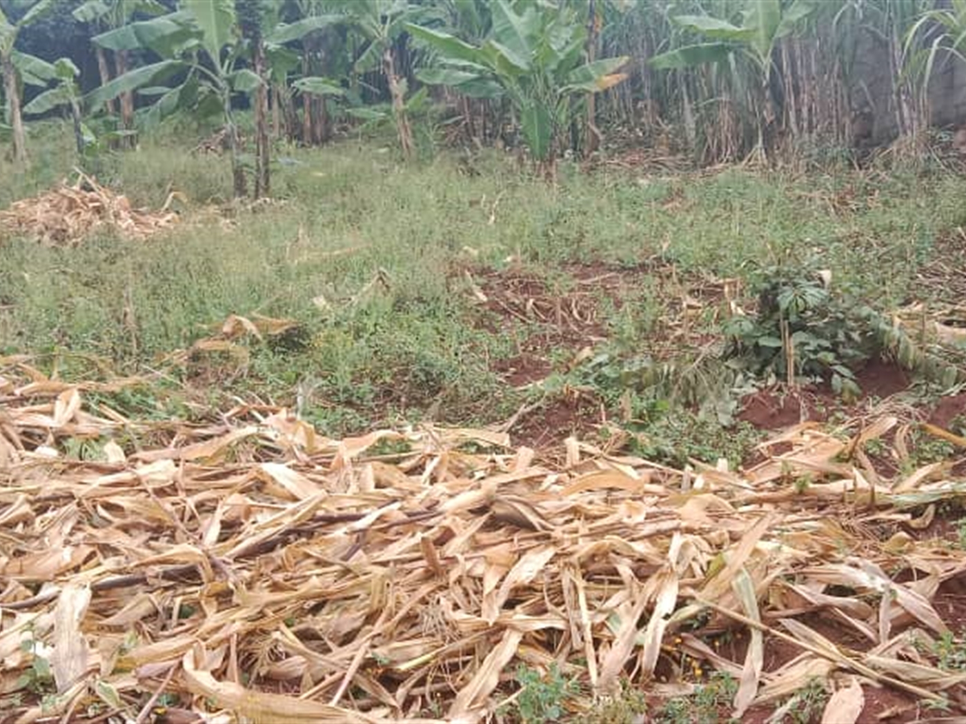 Residential land for sale in Seguku Wakiso Uganda