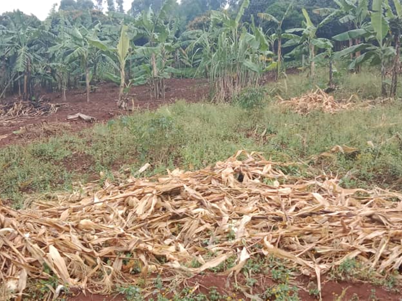 Residential land for sale in Seguku Wakiso Uganda