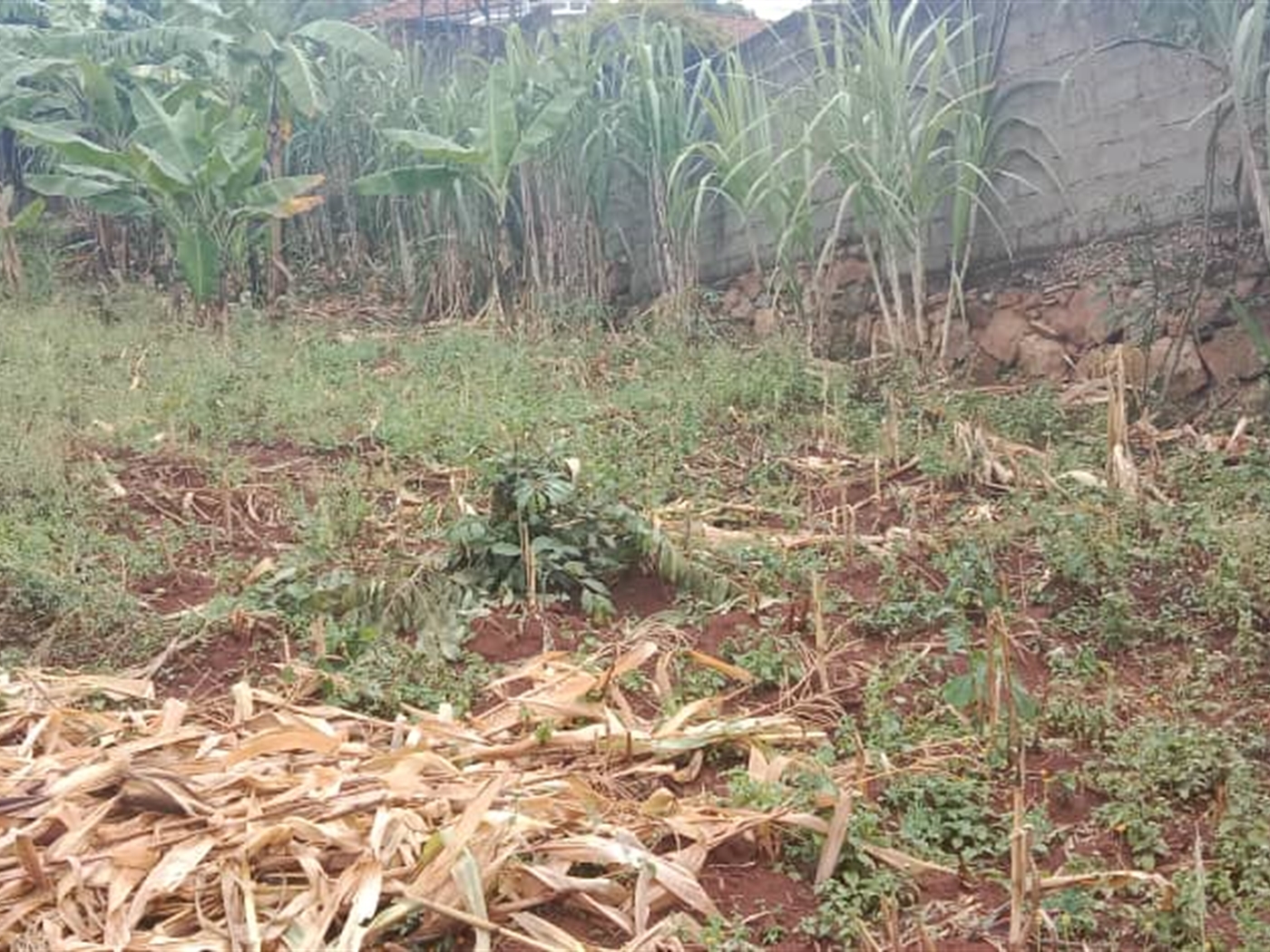 Residential land for sale in Seguku Wakiso Uganda