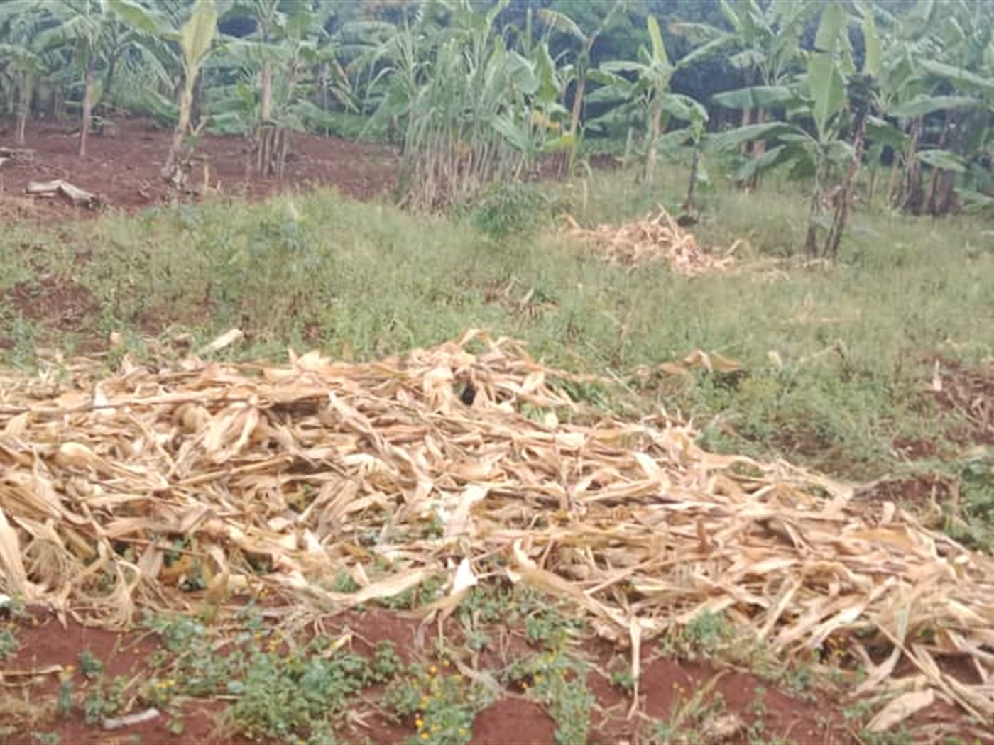 Residential land for sale in Seguku Wakiso Uganda