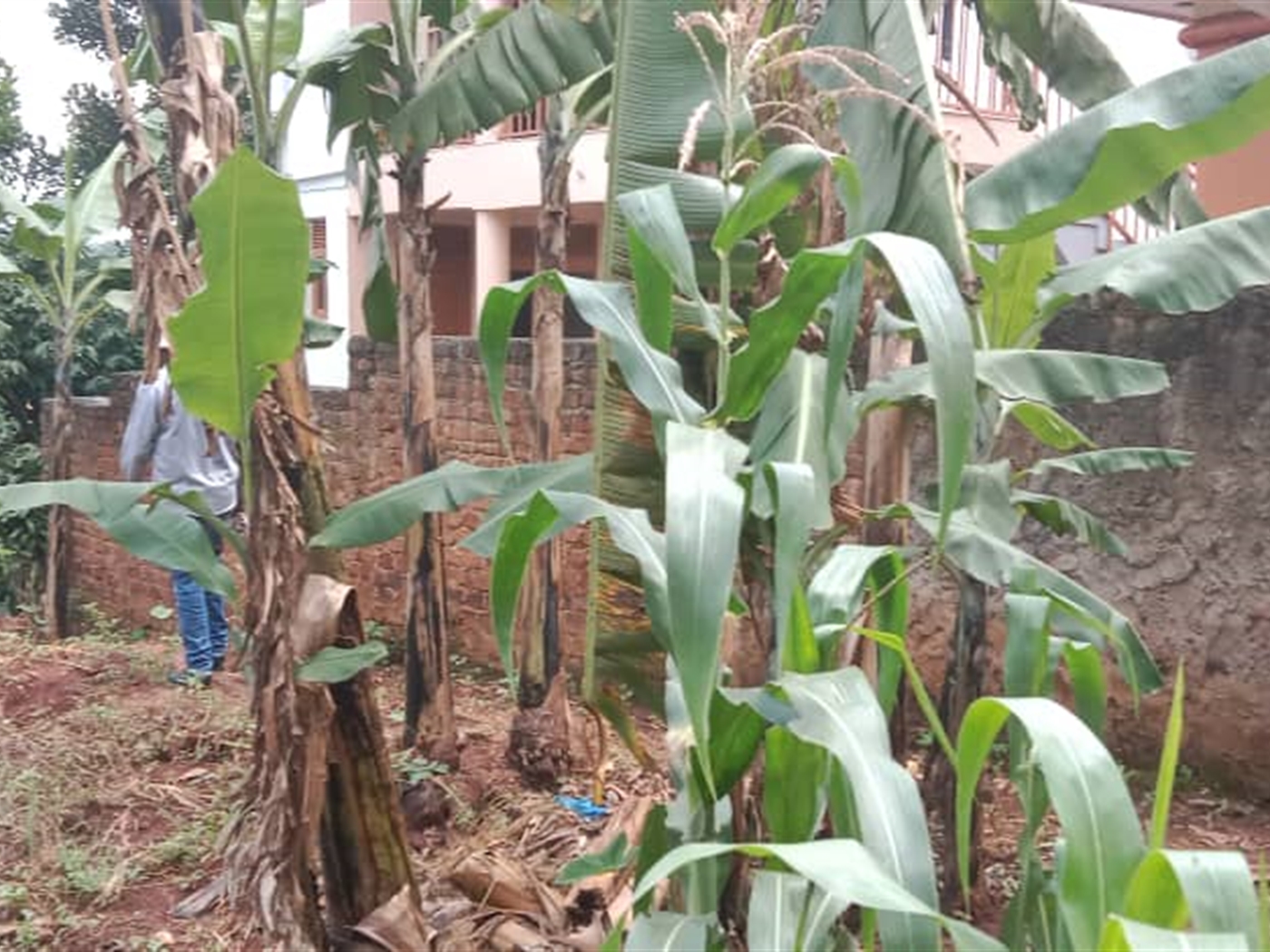 Residential land for sale in Seguku Wakiso Uganda