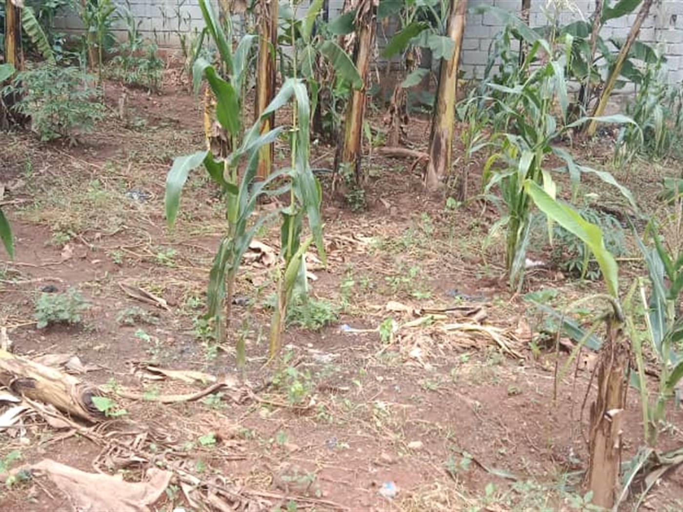 Residential land for sale in Seguku Wakiso Uganda