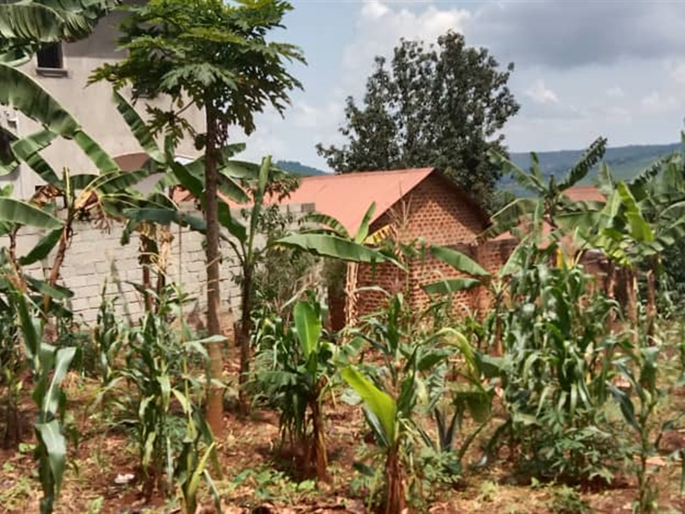 Residential land for sale in Seguku Wakiso Uganda