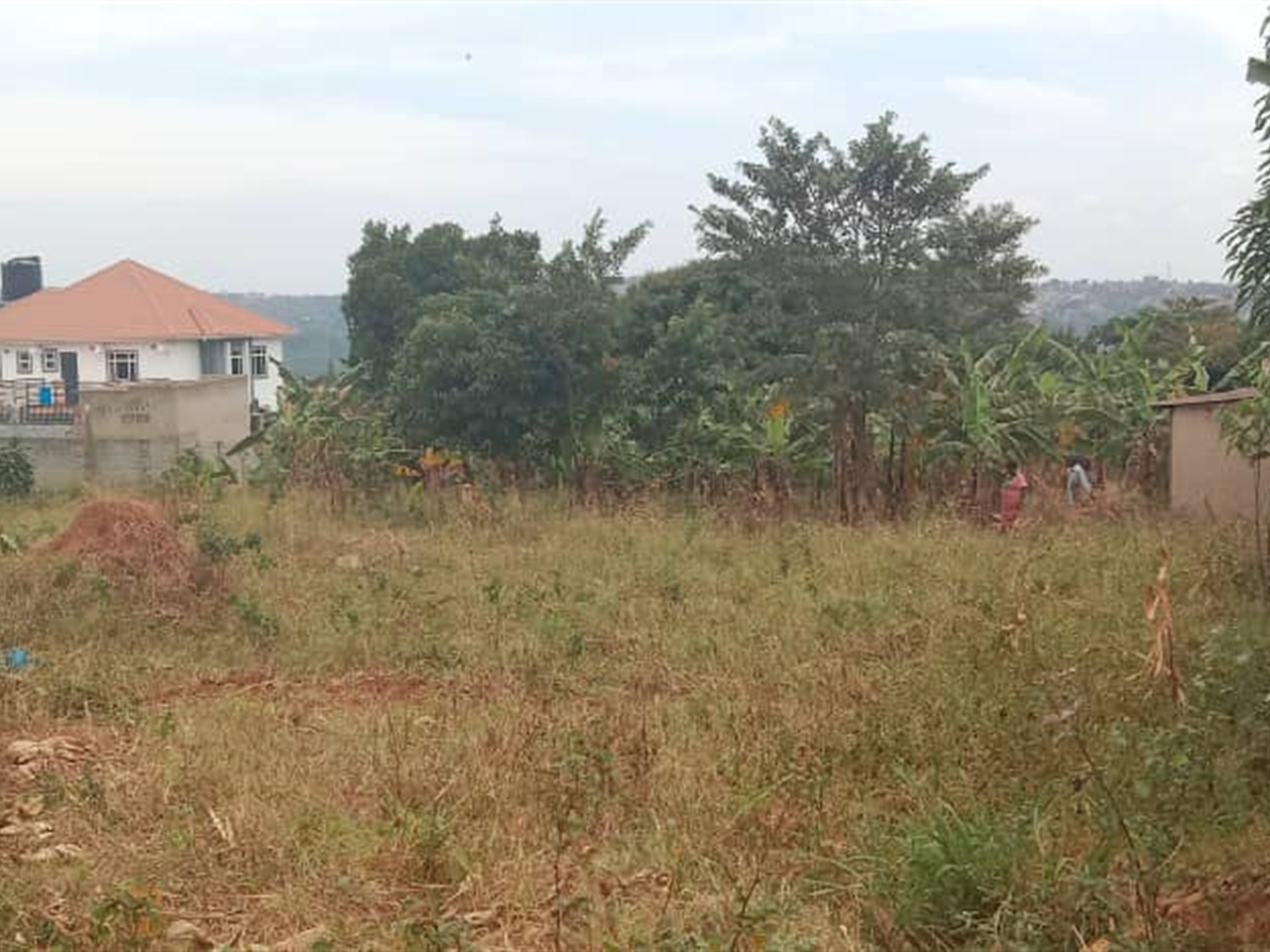 Residential land for sale in Seguku Wakiso Uganda