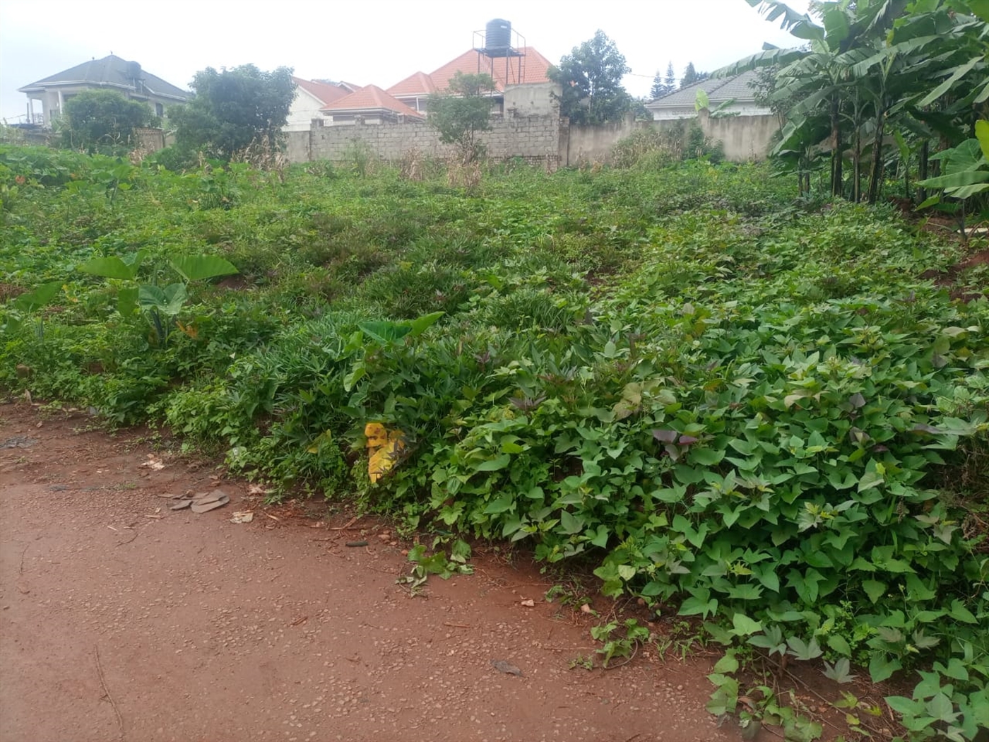 Residential land for sale in Seguku Wakiso Uganda