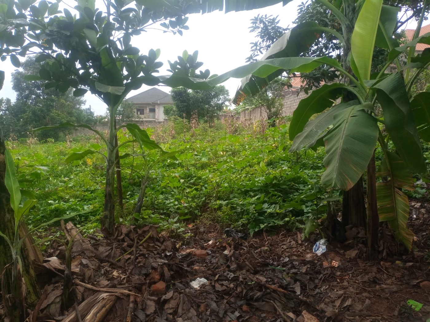 Residential land for sale in Seguku Wakiso Uganda