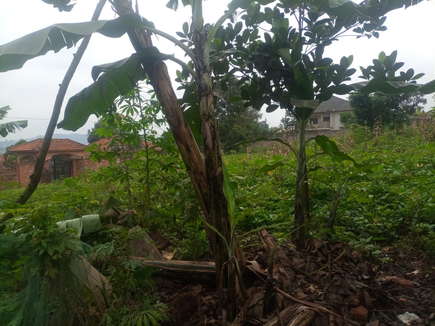 Residential land for sale in Seguku Wakiso Uganda